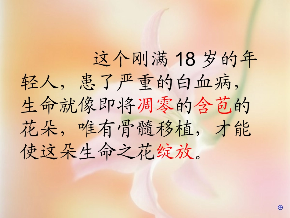 跨越海峡的生命桥 (4)_第3页