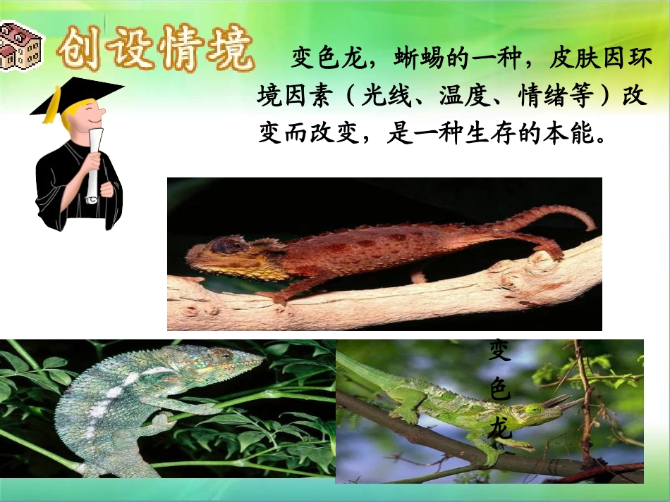 《变色龙》课件_第2页