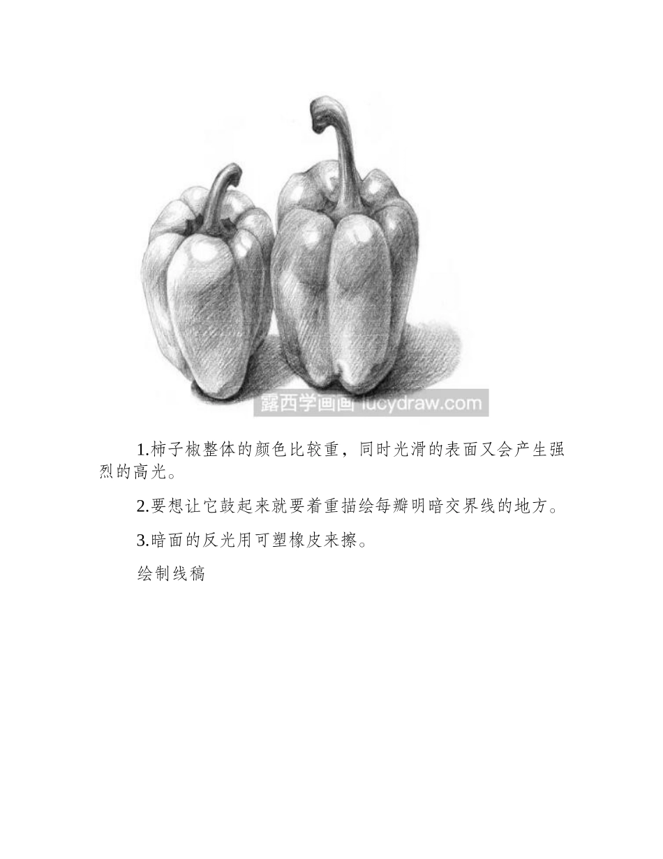 辣椒素描画教程素描教程_第2页