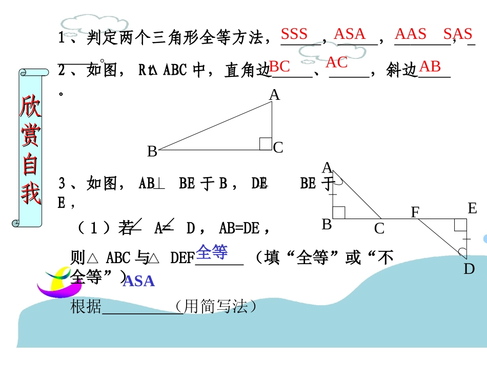 三角形全等的条件(4)_第3页