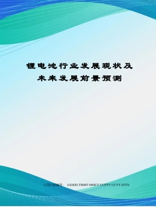锂电池行业发展现状及未来发展前景预测精编版