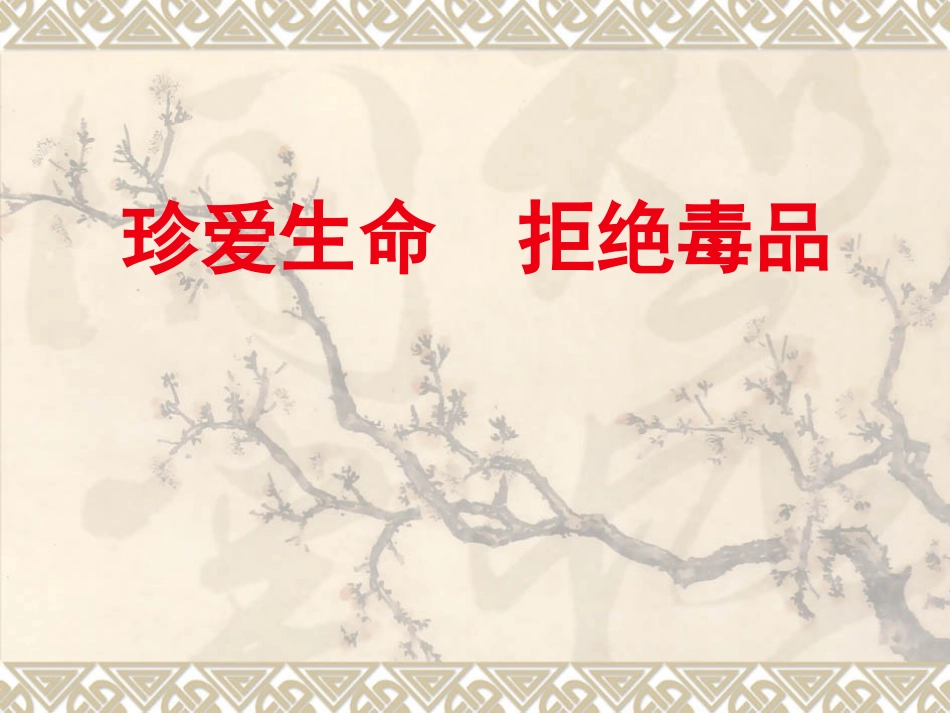 禁毒班会课件_第1页