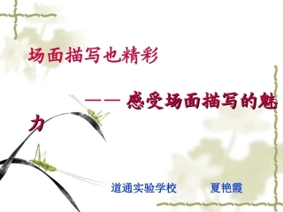 场面描写PPT