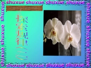北师大七年级数学探索规律2课件