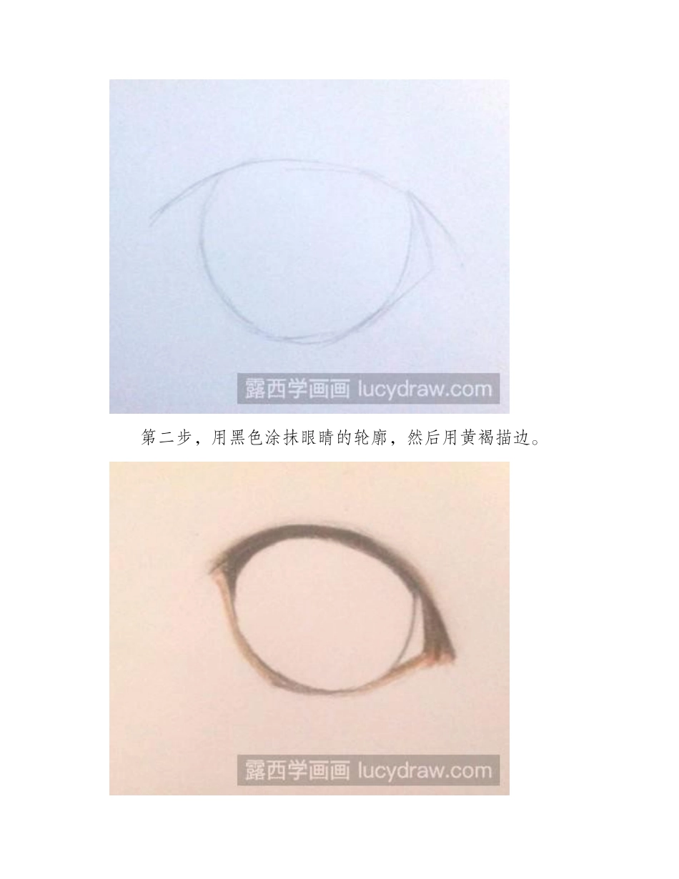 猫的眼睛彩铅画法2彩铅画教程_第2页