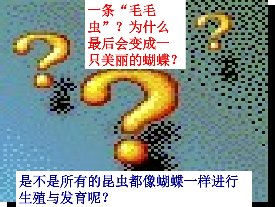 八年级生物：昆虫的生殖和发育_第2页