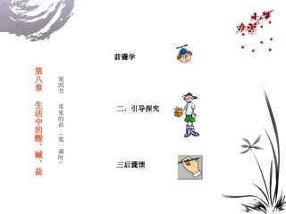 常见的盐粤教版