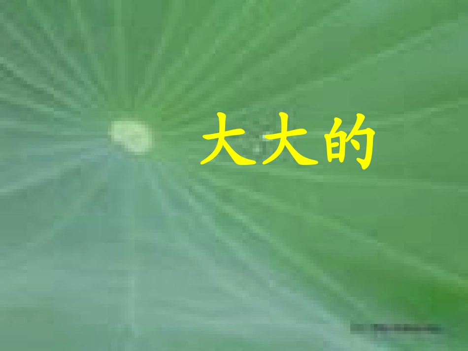 荷叶圆圆 (3)_第3页