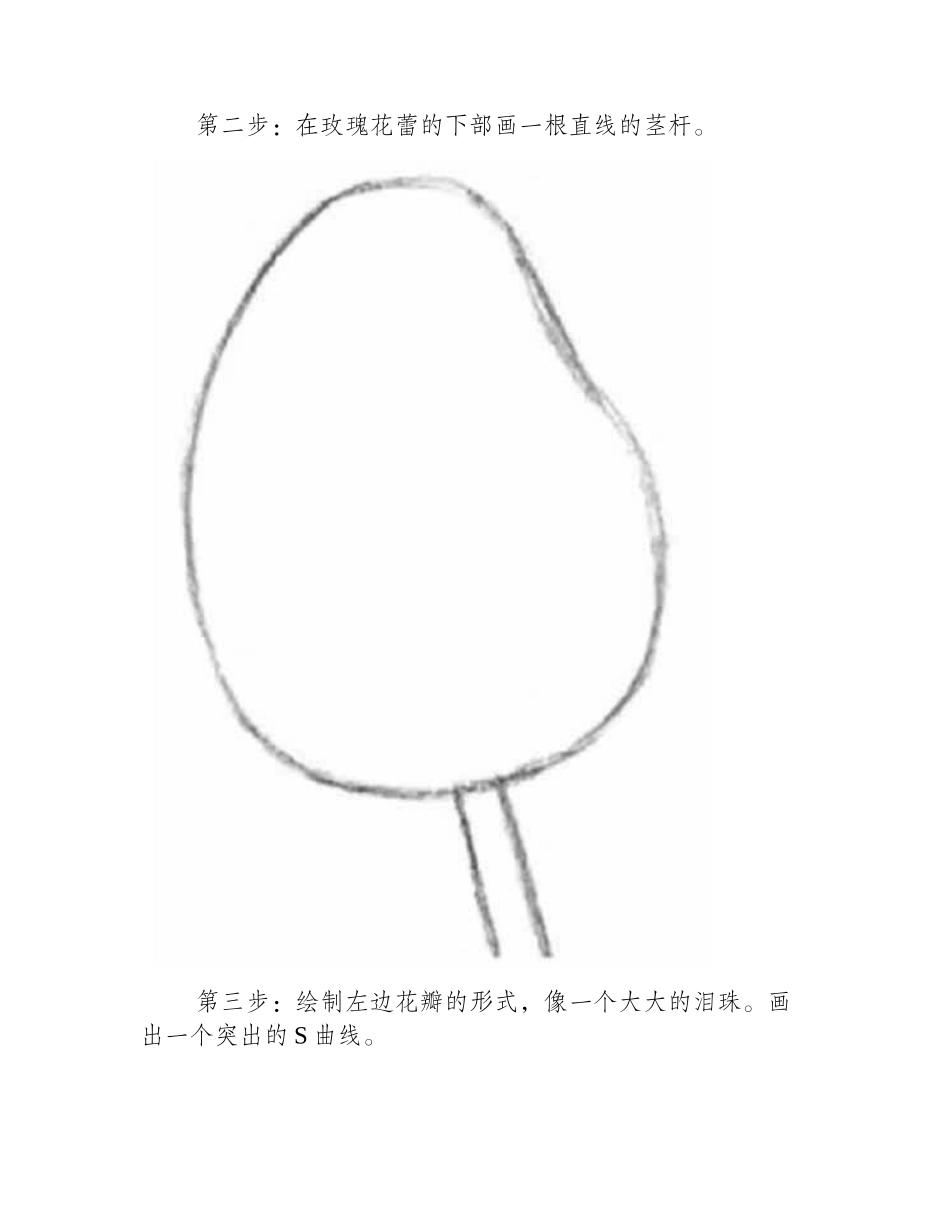 玫瑰花简笔画教程简笔画教程_第2页