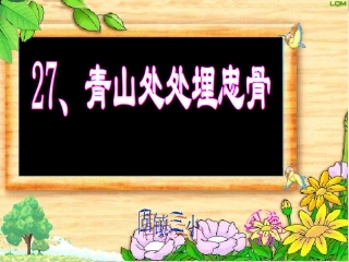 《青山处处埋忠骨》课件2
