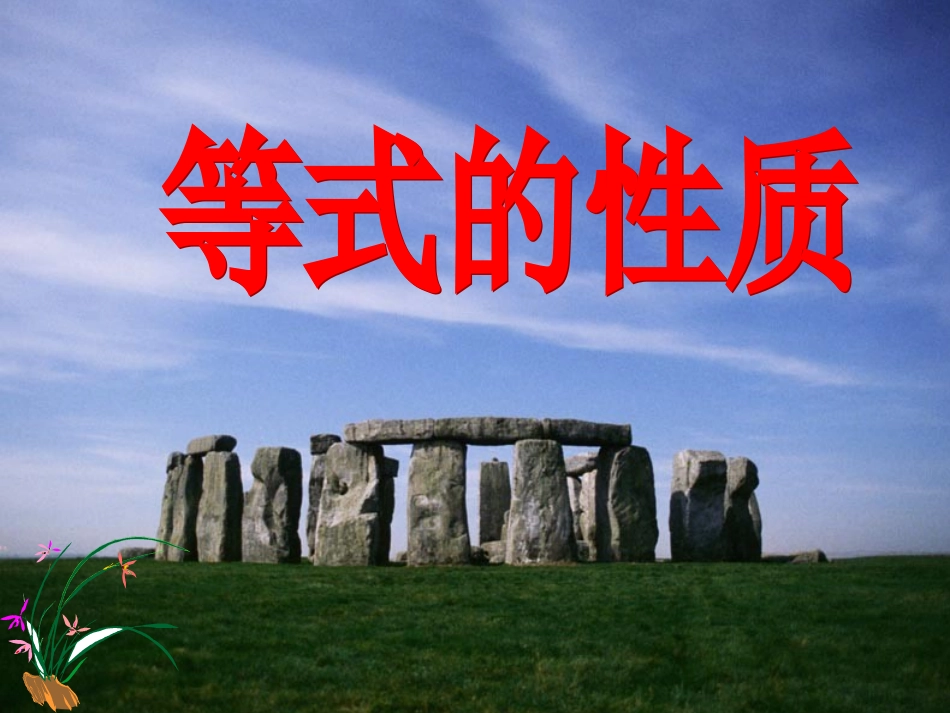 等式的性质刘梅丽_第2页