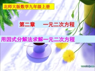 2014新北师大版_24用因式分解法求解一元二次方程1