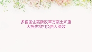 多省国企薪酬改革方案出炉重大损失将扣负责人绩效课件