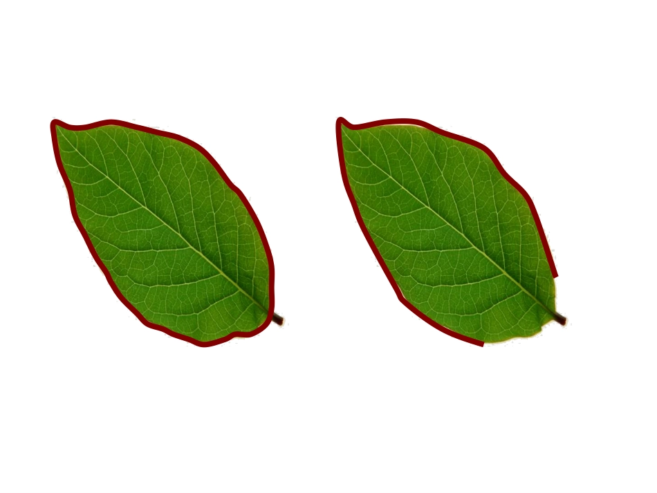 什么是周长111_第3页