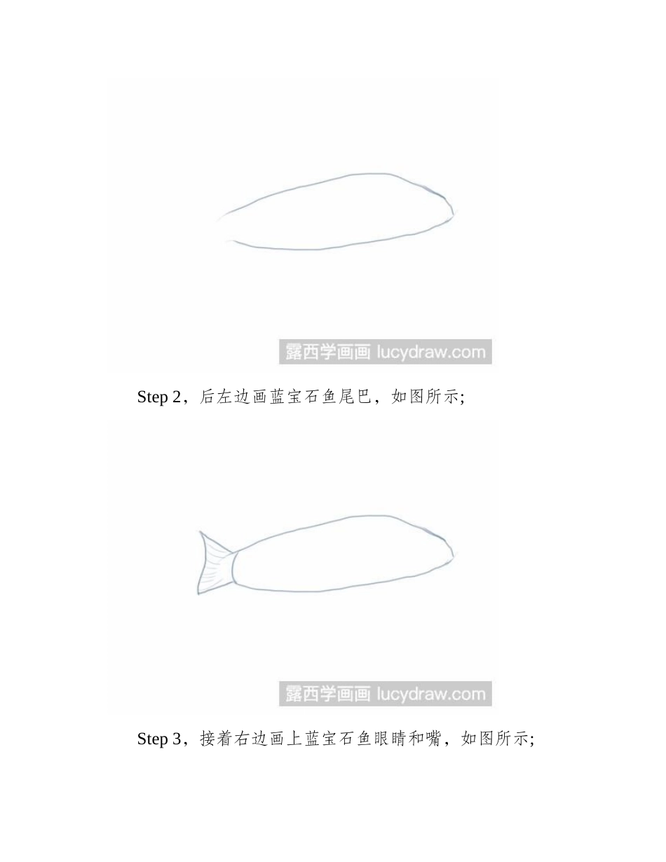蓝宝石鱼简笔画教程简笔画教程_第2页