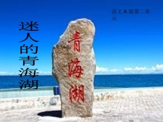 迷人的青海湖