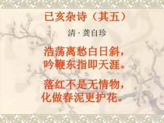 茶中己亥杂诗