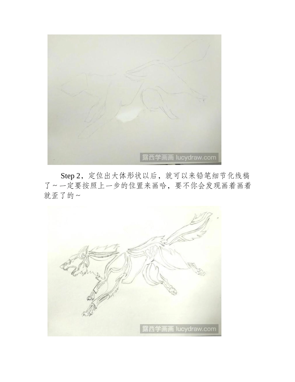 狼插画教程插画教程1_第2页