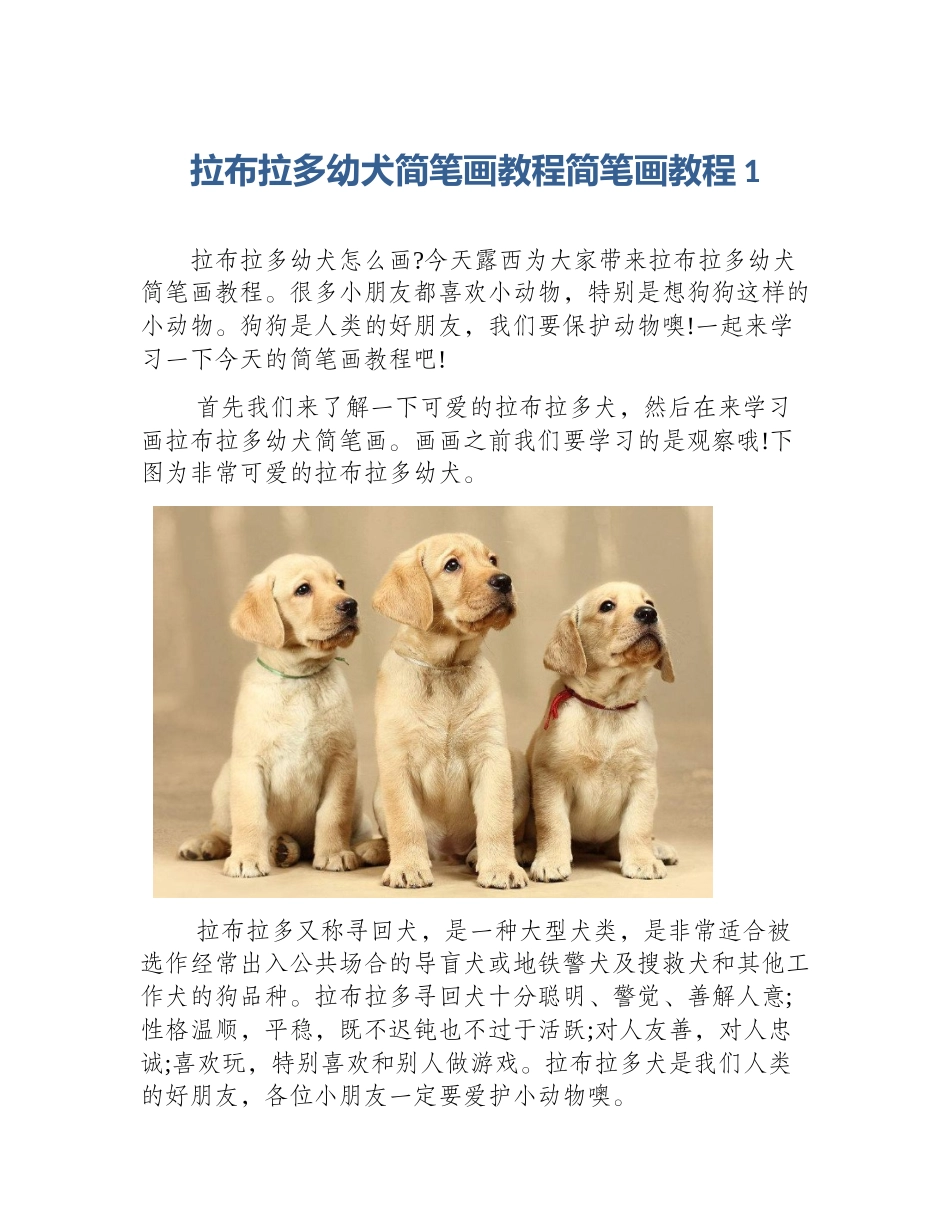 拉布拉多幼犬简笔画教程简笔画教程1_第1页