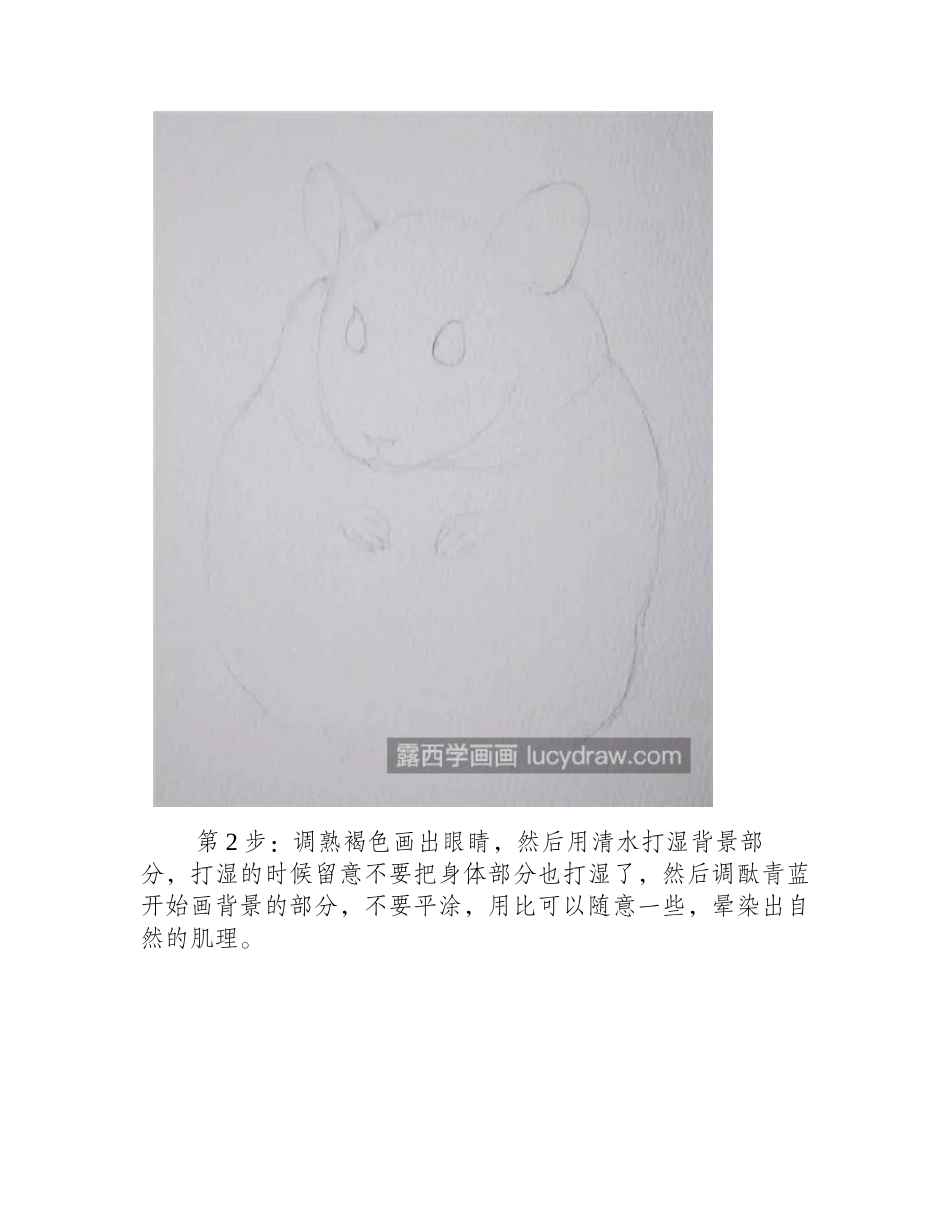 可爱的小仓鼠怎么画_金丝熊的水彩画步骤有哪些_水彩画教程_第2页