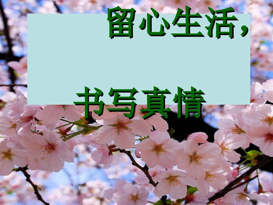 留心生活，书写感动_第3页