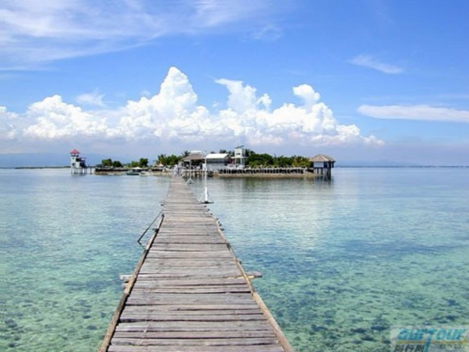 鄂教版小学科学五年级上册《桥》Microsoft_PowerPoint_演示文稿_第1页