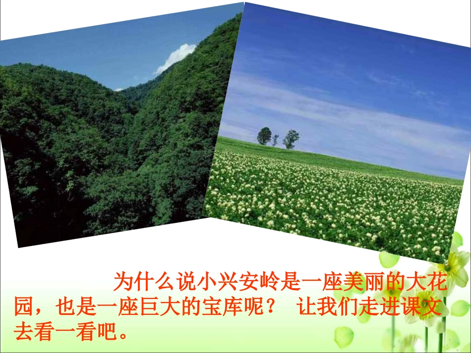《美丽的小兴安岭》我的课201412月_第2页