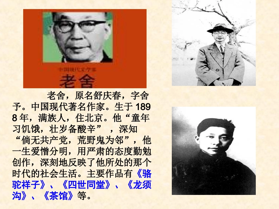 九年级《在烈日和暴雨下》课件_第3页