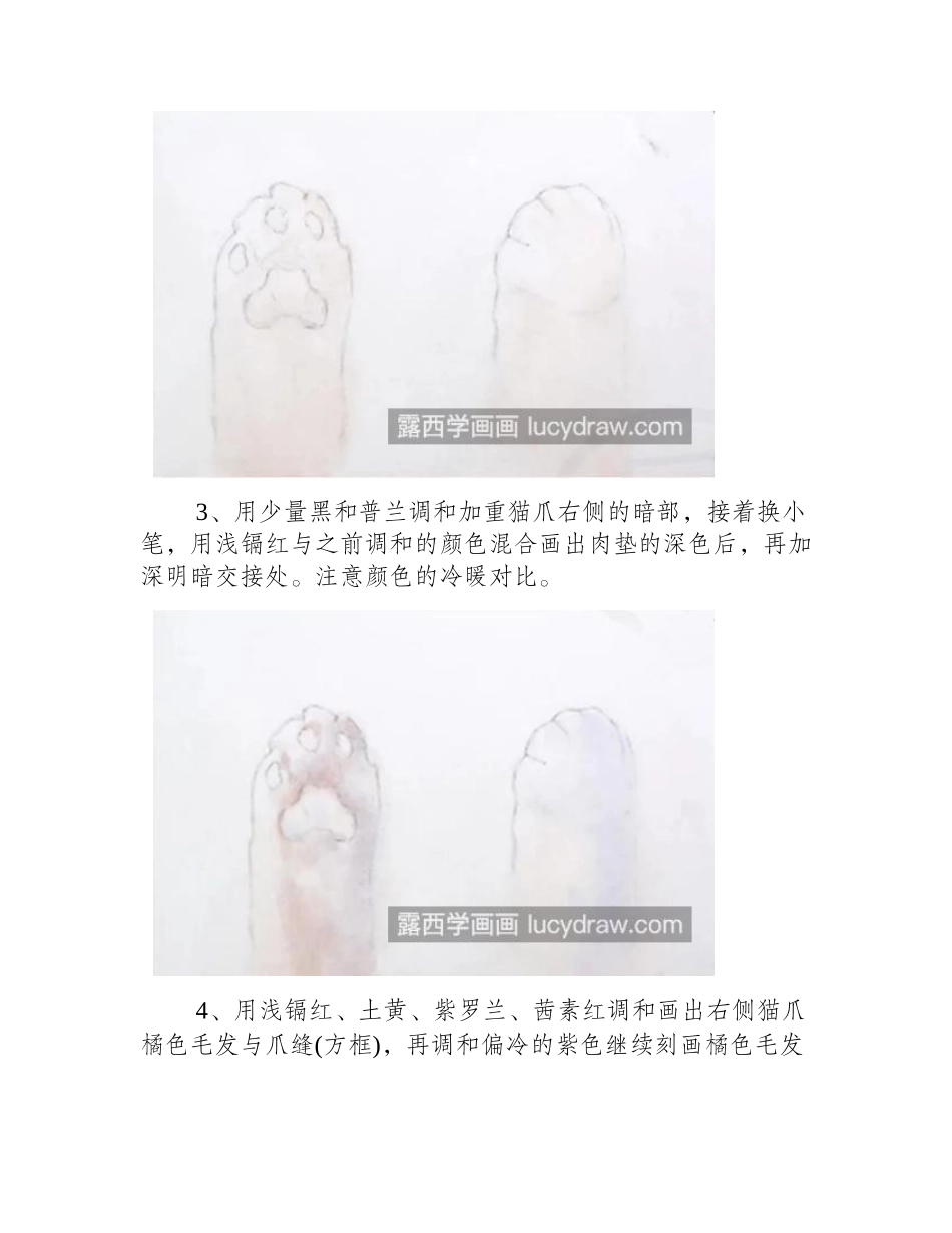 猫咪的爪子怎么画_超级治愈的水彩画教程分享水彩画教程_第2页