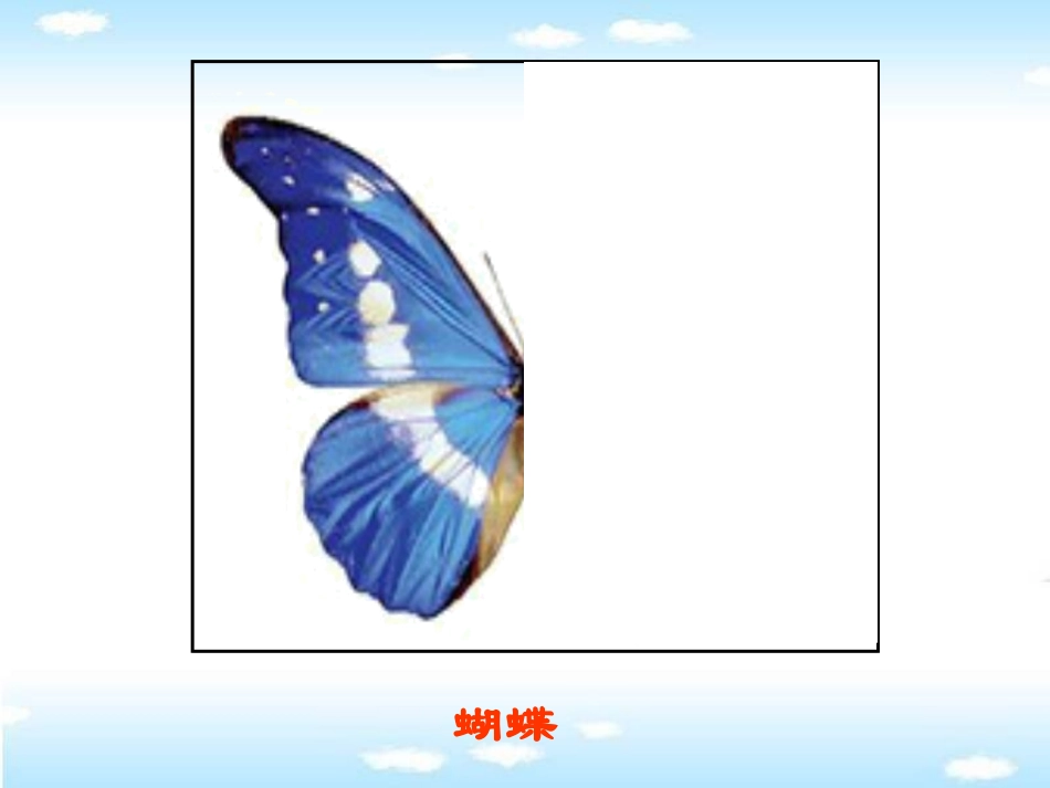 苏教版三年级上册轴对称图形_第2页