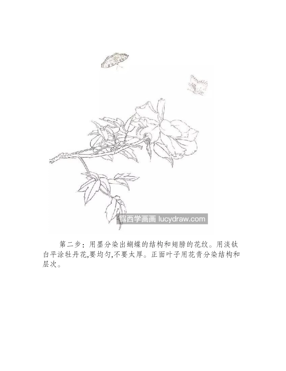 牡丹粉蝶怎么画_具体的步骤有几步_工笔画教程_第2页