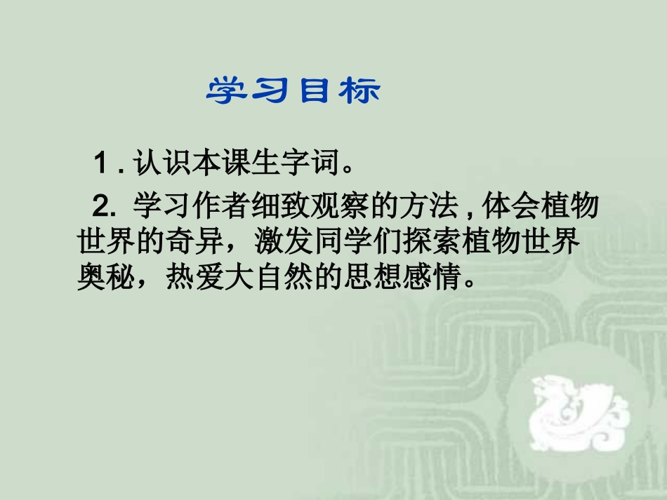 《奇异的植物世界》课件(语文S版三年级下册课件)_第2页