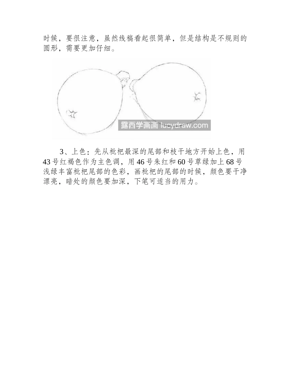 枇杷怎么画_黄金枇杷绘画过程是什么_彩铅画教程_第2页