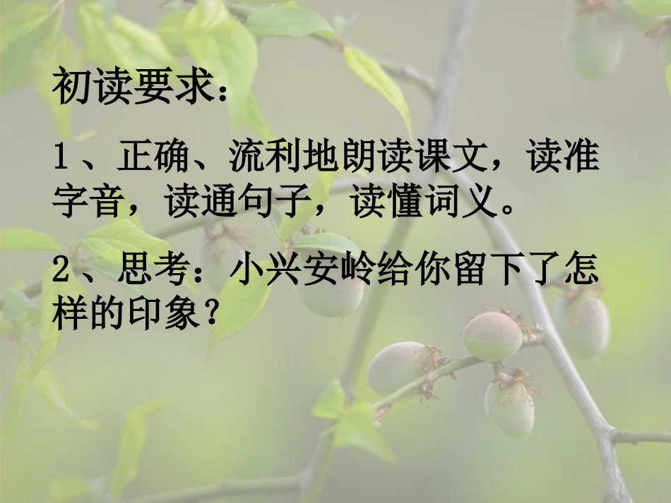 、美丽的小兴安岭_第3页