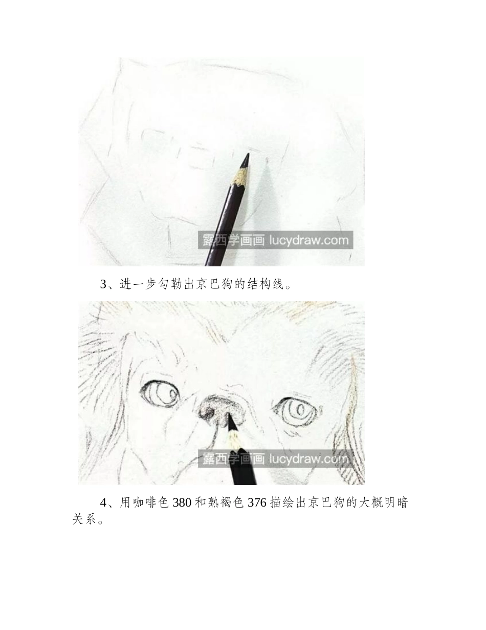 京巴狗怎么画_北京犬的彩铅画法是什么_彩铅画教程_第2页