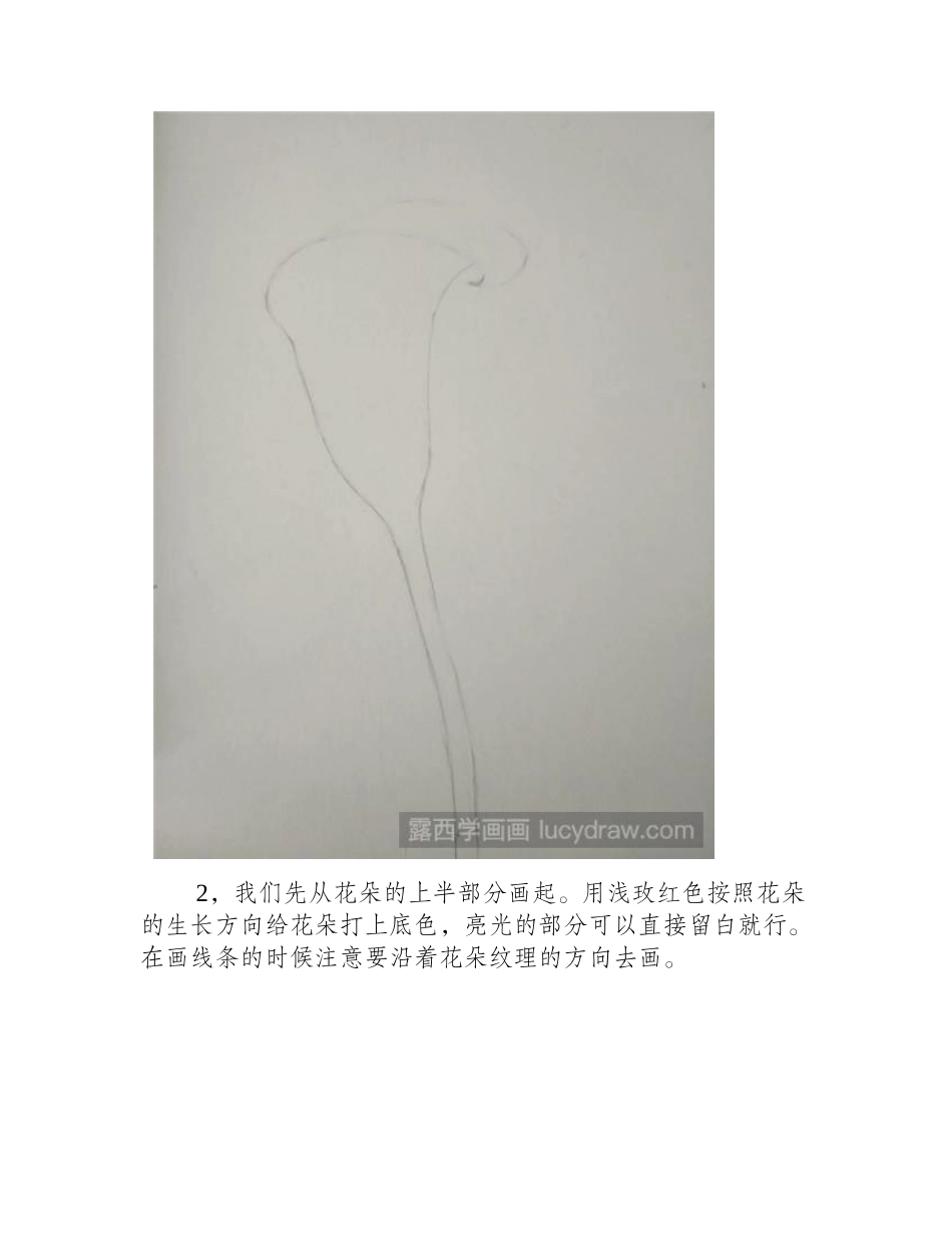 马蹄莲的彩铅画法彩铅画教程_第2页
