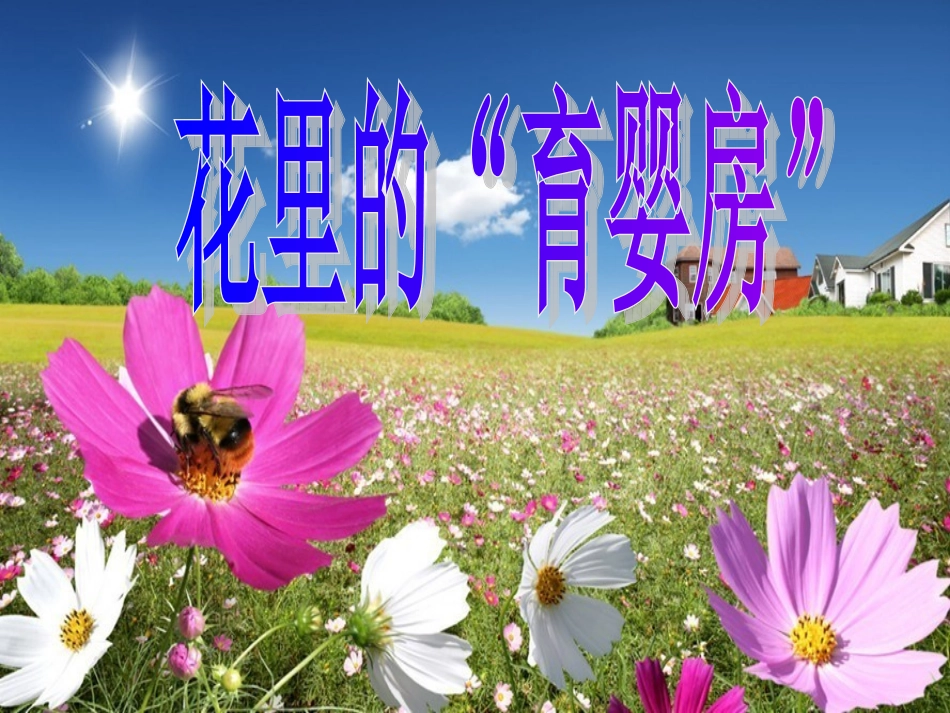 花里的育婴房 (2)_第1页