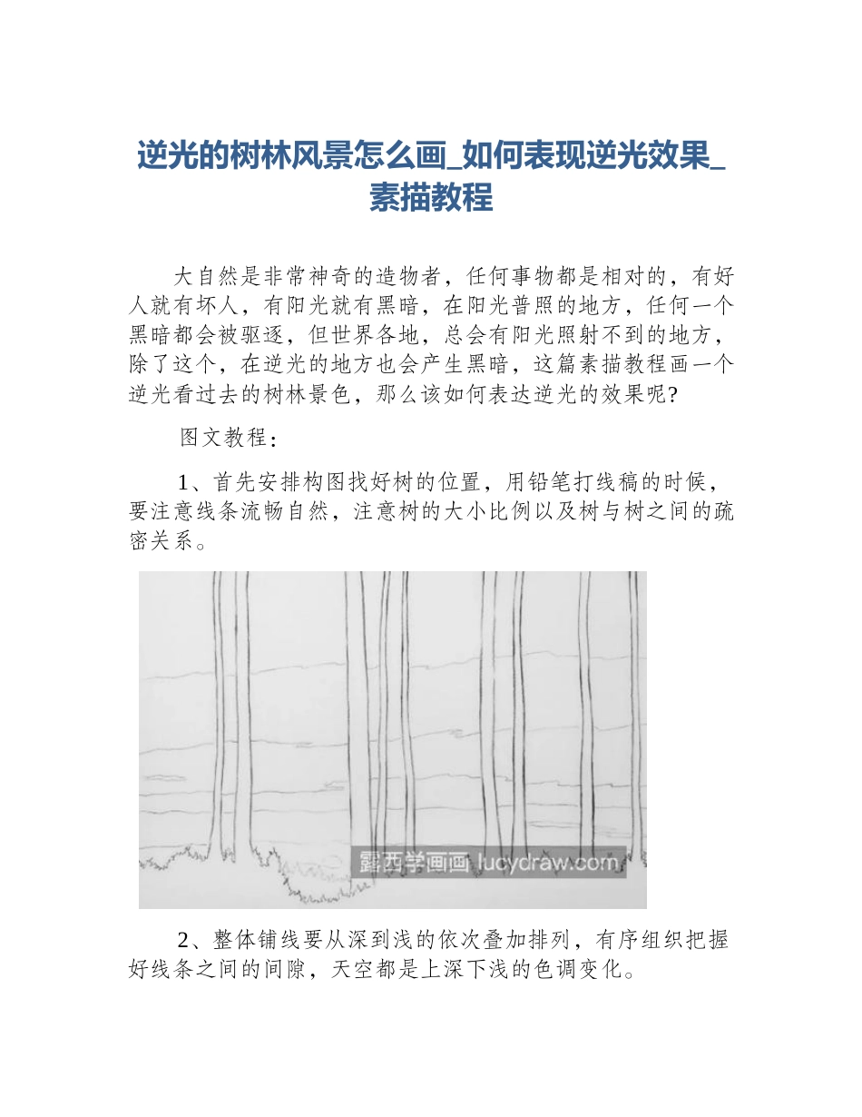 逆光的树林风景怎么画_如何表现逆光效果_素描教程_第1页