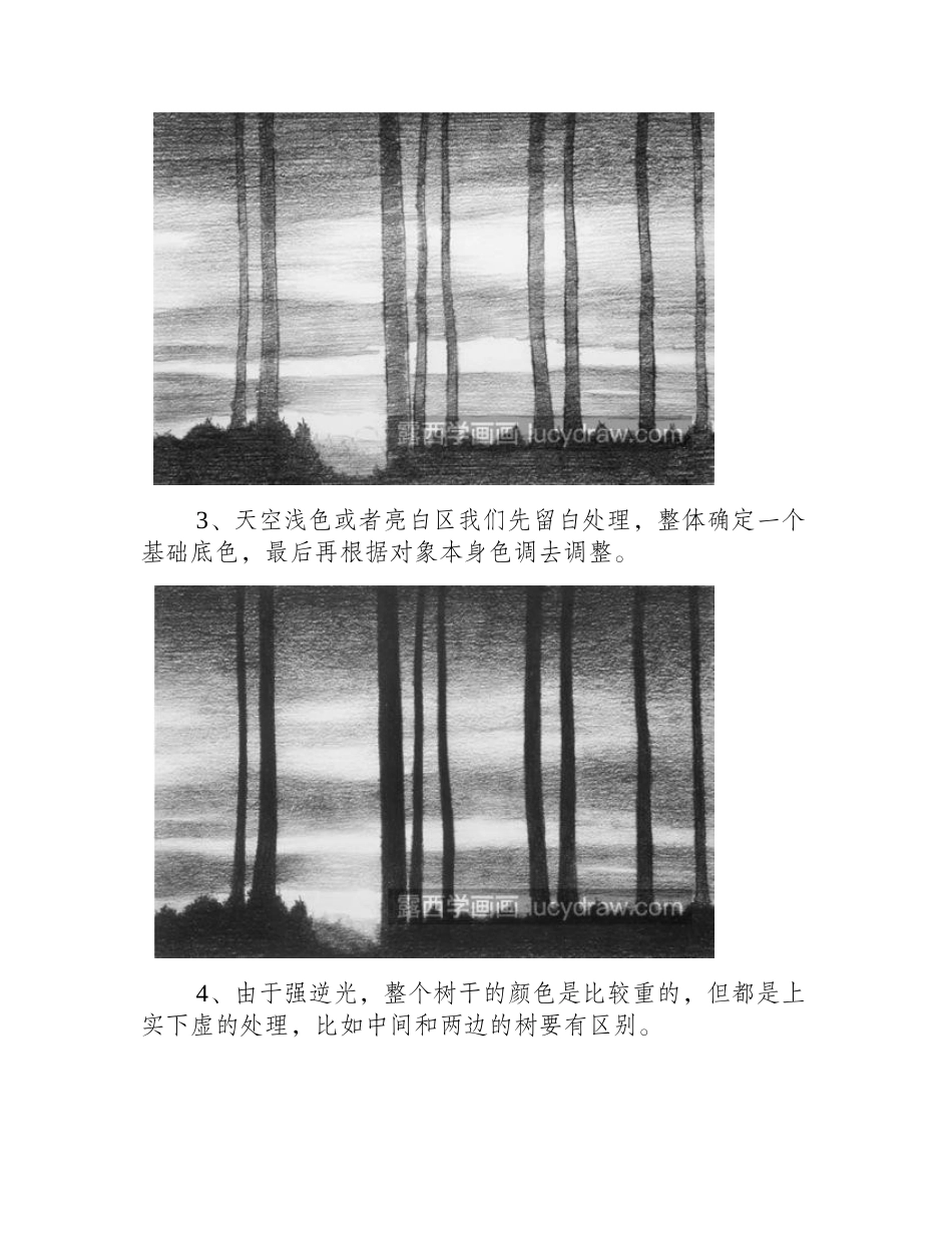 逆光的树林风景怎么画_如何表现逆光效果_素描教程_第2页