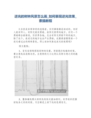 逆光的树林风景怎么画_如何表现逆光效果_素描教程