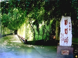 葡萄沟课件 (2)