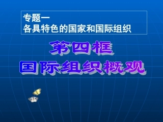 国际组织概观