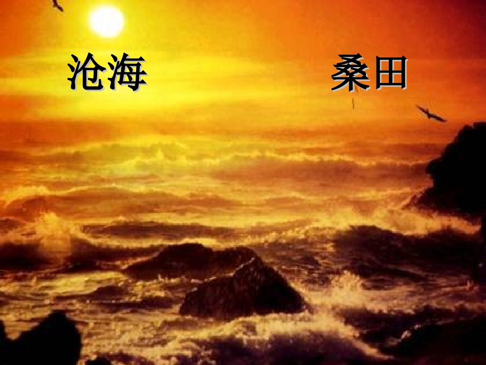 《化石吟》课件（39页）_第1页