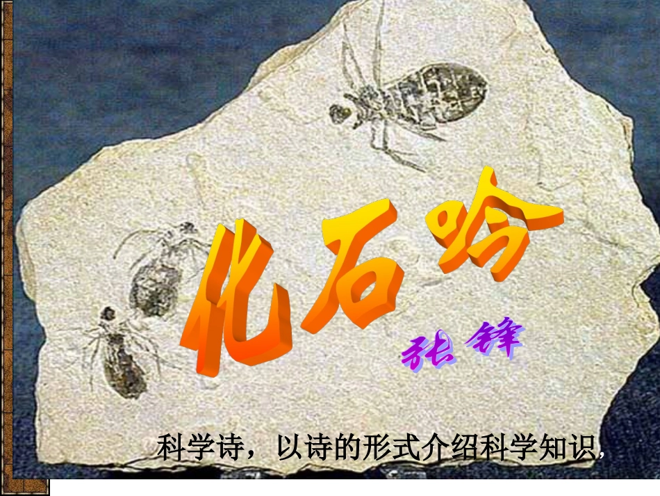 《化石吟》课件（39页）_第2页