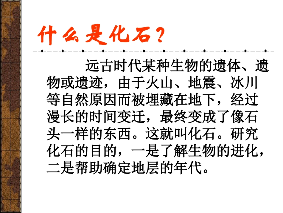 《化石吟》课件（39页）_第3页