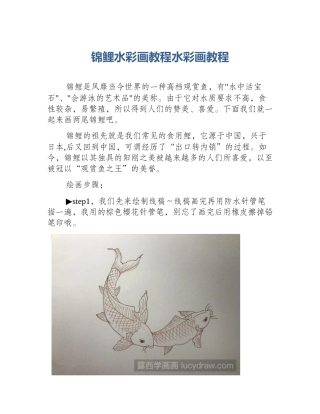 锦鲤水彩画教程水彩画教程