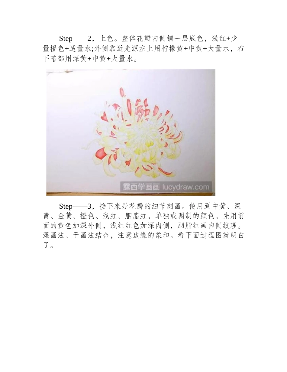 金背大红菊花水彩画教程水彩画教程_第2页