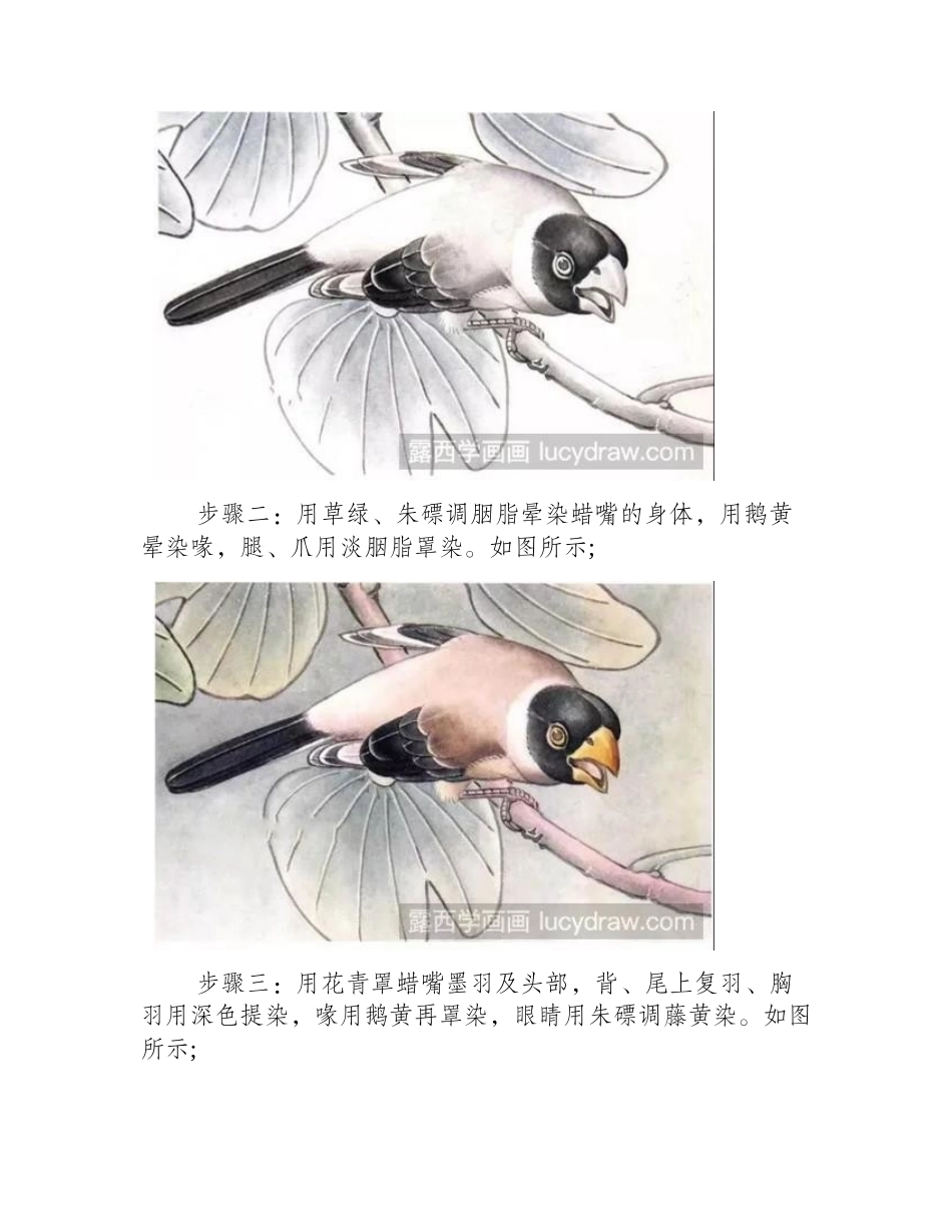 蜡嘴雀工笔画教程工笔画教程_第2页