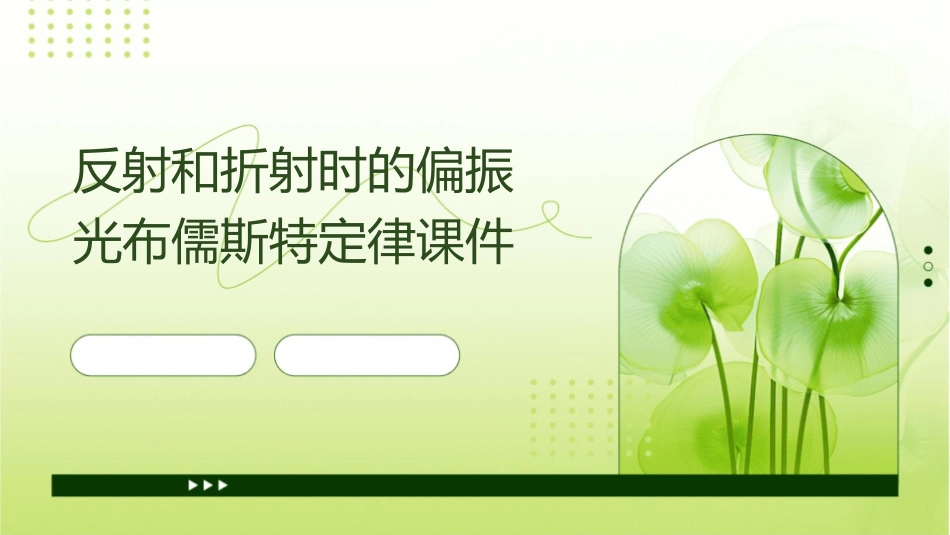 反射和折射时的偏振光布儒斯特定律课件_第1页