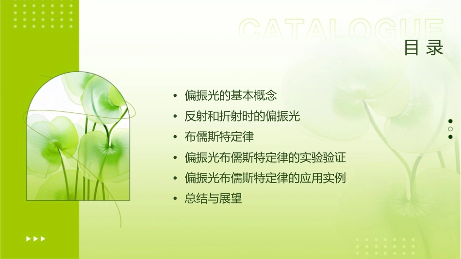反射和折射时的偏振光布儒斯特定律课件_第2页
